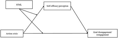 Letting go or giving up? The influence of self-transcendence meaning of life on goal adjustment in high action crisis